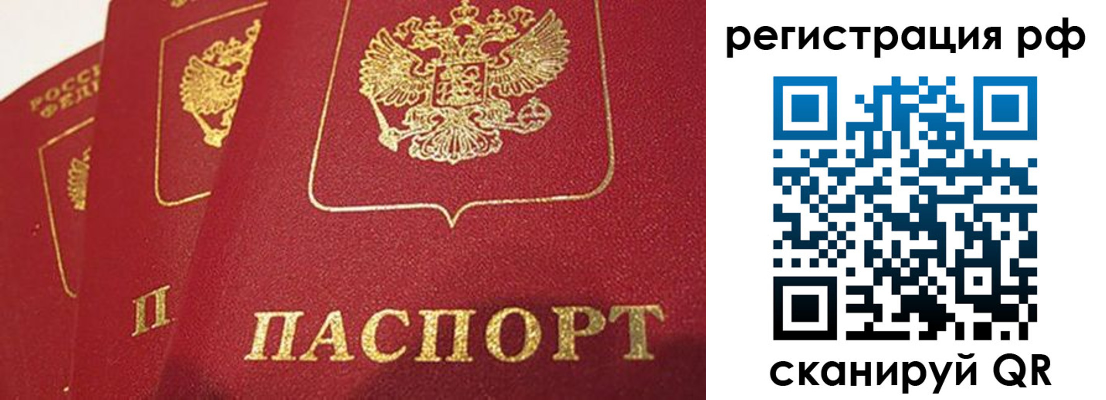 прописка в квартире в Сольцах